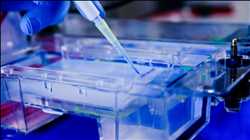 Global Cell And Gene Therapy Manufacturing Market  Market Insight