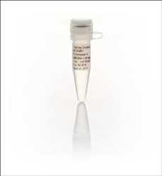 Global Proteinase K Market Forecast