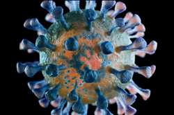 Globaler Markt für Coronavirus-Diagnostika
