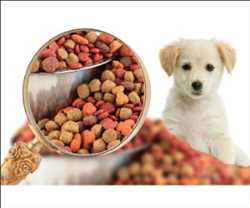 Global Pet Food Market