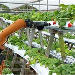 Global AI in Agriculture Market