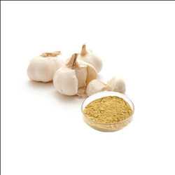 Global Garlic Extract Market