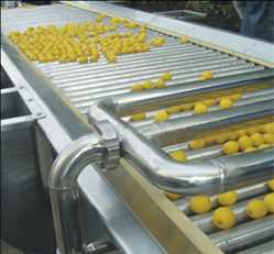 Global Fruit Sorting Machinery Market