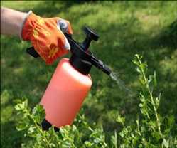 Global Insecticides Market