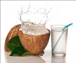 Marché mondial de l'eau de coco biologique