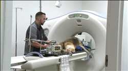 Global Veterinary Stereotactic Radiosurgery Market