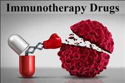 Immunotherapy Drugs