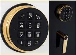 Global Intelligent Electronic Lock Market