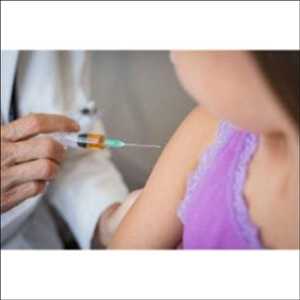 Thérapeutique des infections des voies urinaires Market
