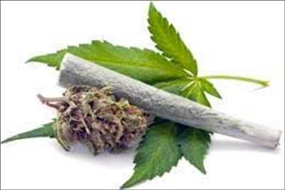 Cannabis Médical Market