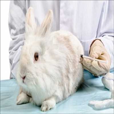 Pyrogen-Tests Market