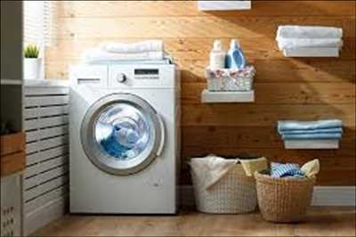 Machine à laver résidentielle entièrement automatique Market