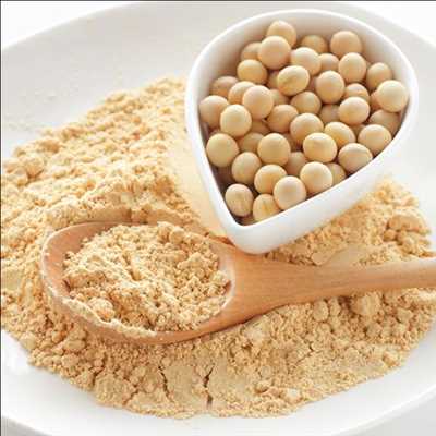 Ingrédients de la protéine de soja Market